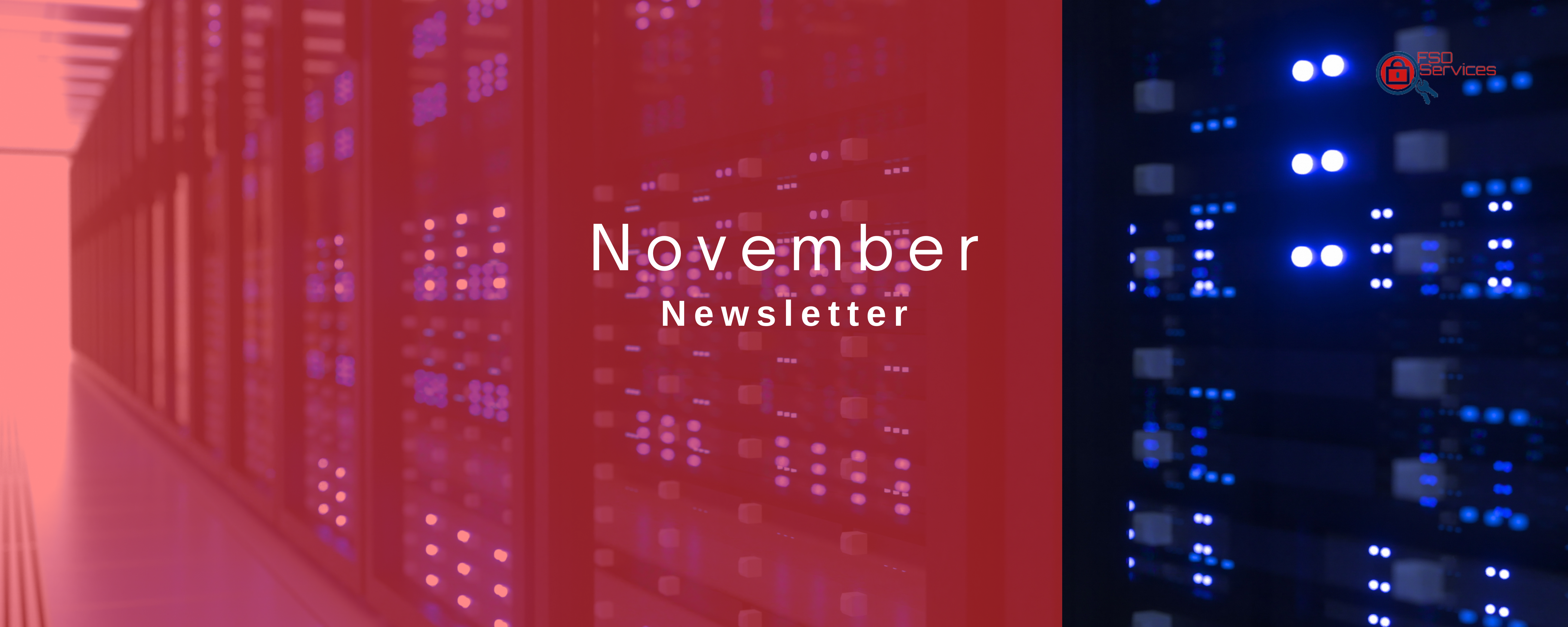 Featured image for “November Newsletter”