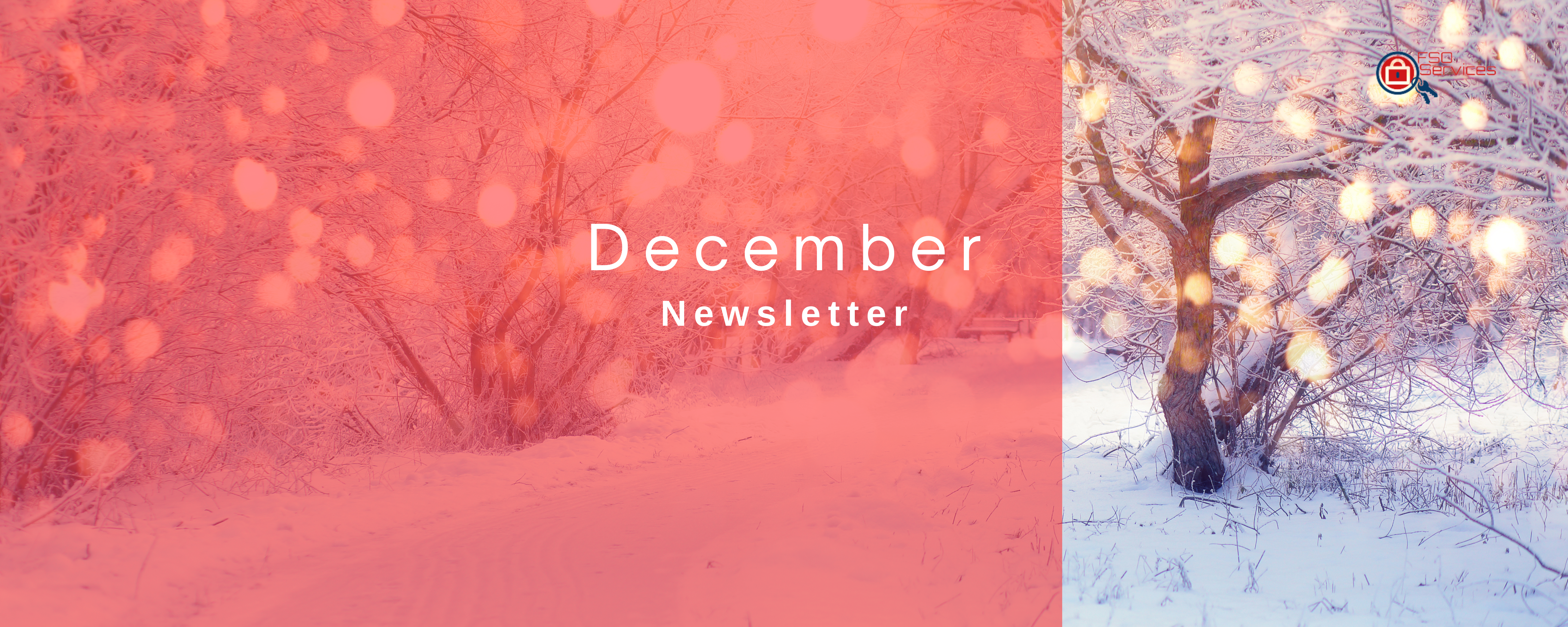 Featured image for “December Newsletter”