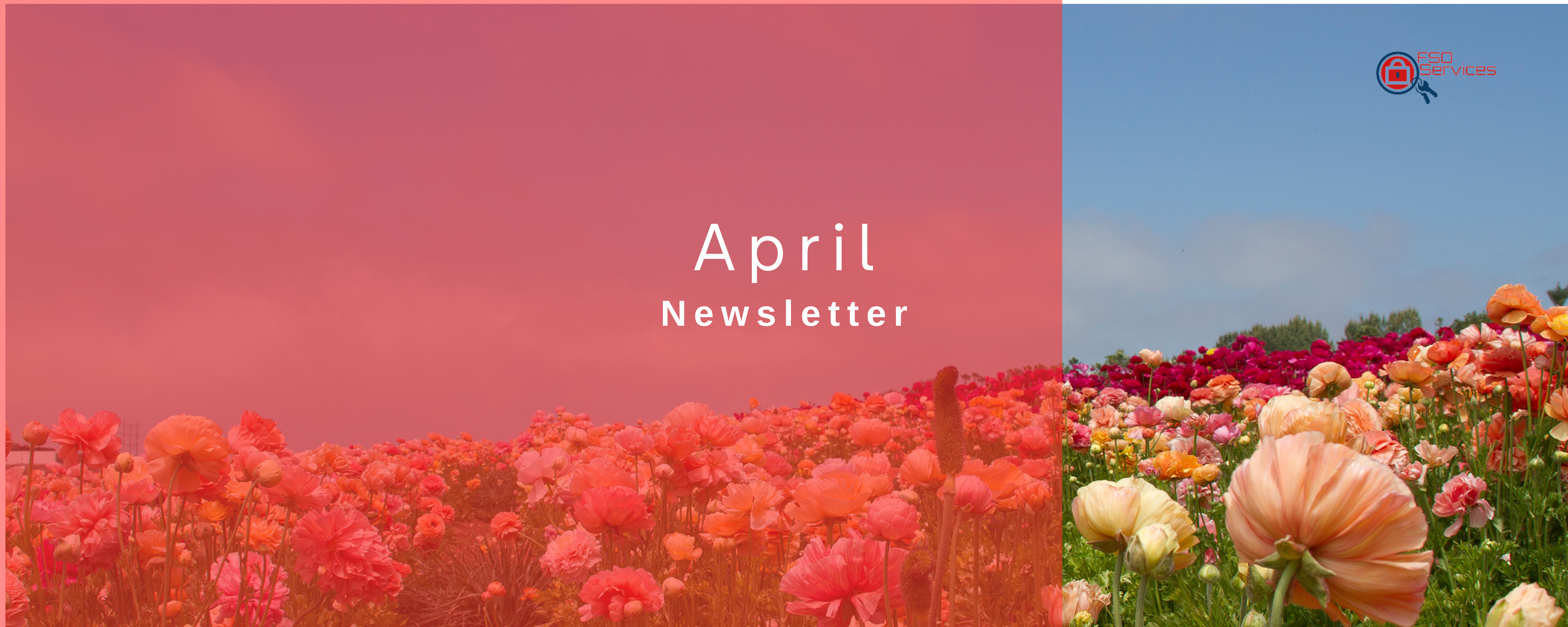 Featured image for “April Newsletter”