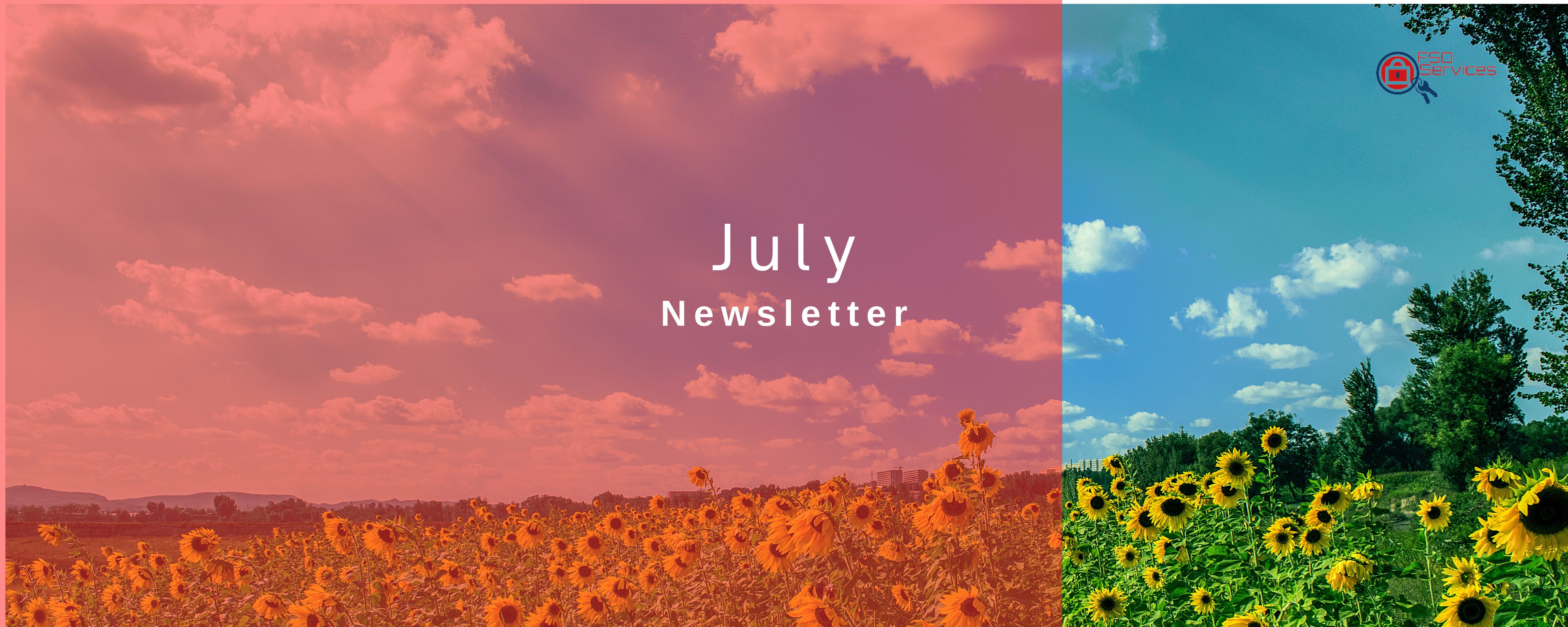 Featured image for “July Newsletter”