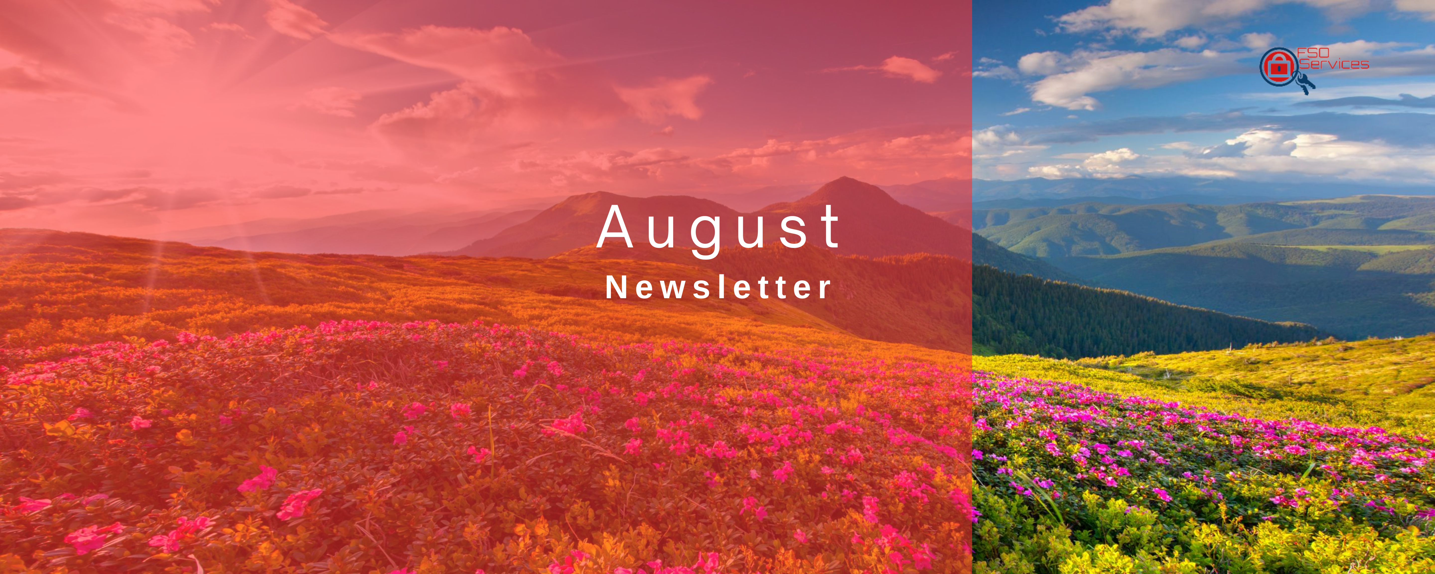 Featured image for “August Newsletter”