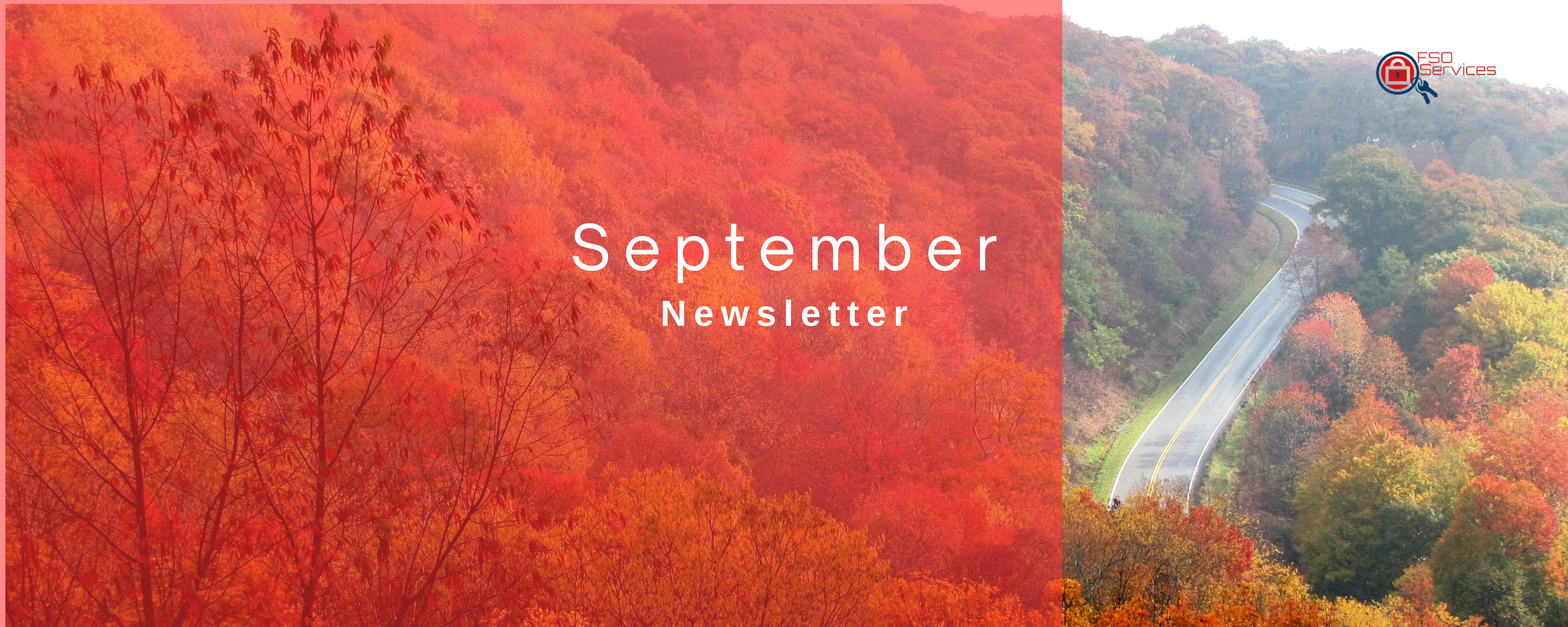 Featured image for “September Newsletter”