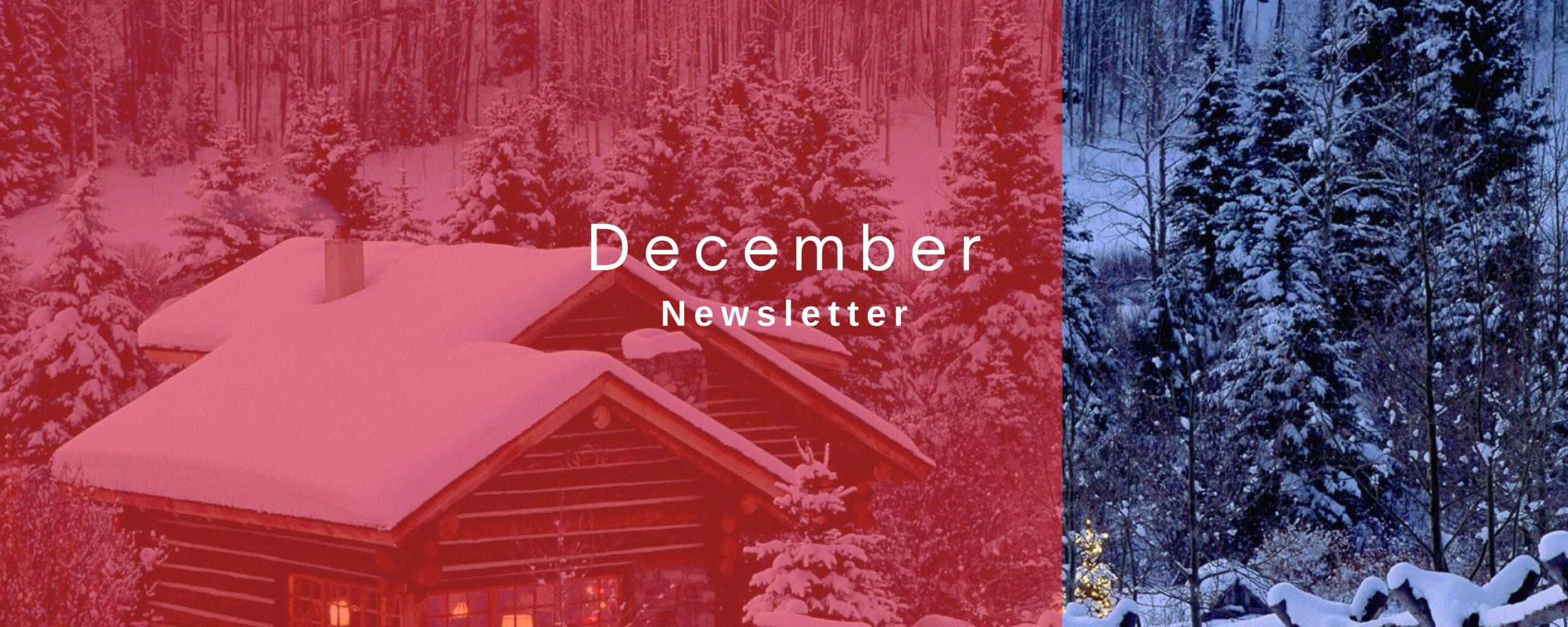 Featured image for “December Newsletter”